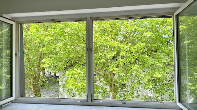 Grüner Ausblick aus einem Fenster der Wohnung